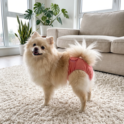 Mumaby™ Waschbare Hundewiese
